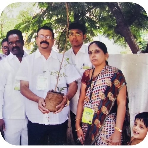 Tree Plantation 1